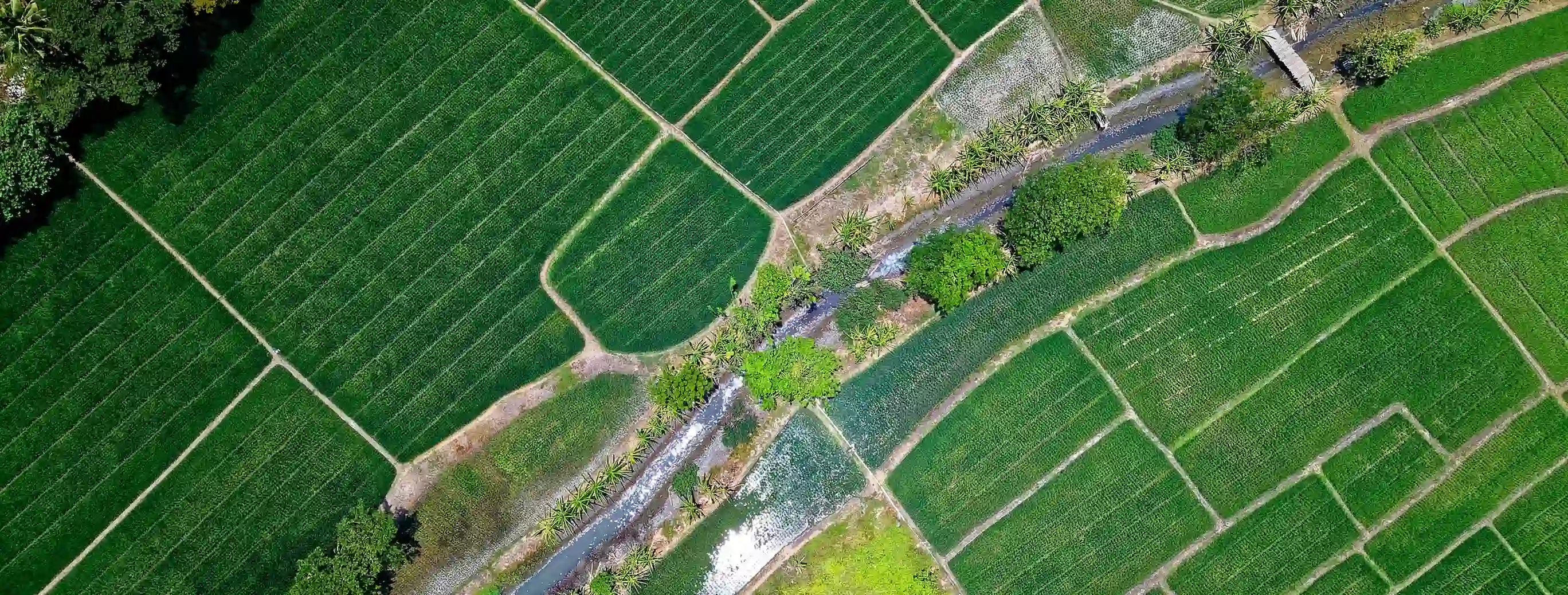 SGM Farming aerial fields